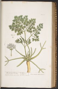 Tafel 382, aus 
