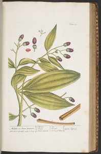 Tafel 391, aus 