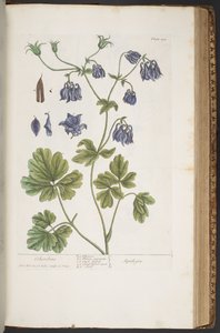 Tafel 409, aus 