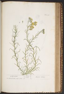 Tafel 438, aus 