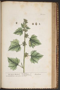 Tafel 444, aus 
