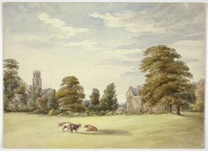 Kühe vor Herrenhaus und Kirche von Elizabeth Murray