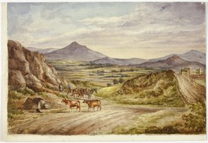 Wicklow Hills