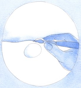Beim Berühren eines Künstlerpinsels füllt Pigment einen Wasserpool. Durch unser 