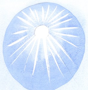 Wer dankbar für die Sonne ist, ist dankbar für ihre Wärme und ihr Licht, so sollte auch derjenige, der Gott liebt, Gottes Willen lieben.