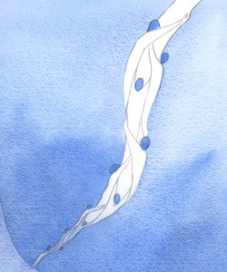 Unsere Fürbitten für die Heiligen Seelen im Fegefeuer im Namen Jesu sind wie ein Seil, das sie in den Himmel zieht von Elizabeth Wang