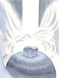 Durch Christus umhüllt uns das Licht des Himmels bei jeder Messe von Elizabeth Wang