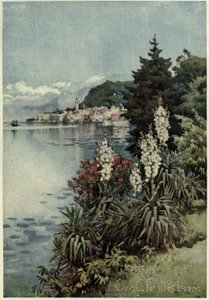 Eine Gruppe von Yuccas, Villa Melzi, Lago di Como, Illustration aus 