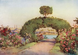 Ein Rosengarten in Gizeh und Blick auf Kairo von Ella Du Cane
