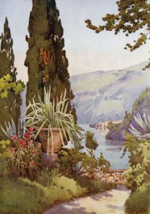 Im Garten der Villa Arconati, Lago di Como von Ella Du Cane