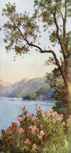 Lago di Lecco, Lago di Como von Ella Du Cane