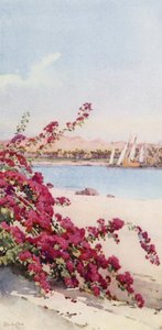 Berge nördlich von Assuan von einem Garten auf der Insel Elephantine von Ella Du Cane