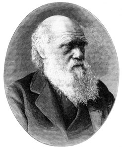 Charles Darwin, englischer Naturforscher des 19. Jahrhunderts, 1900