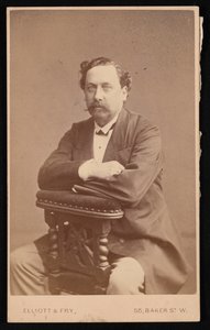 Porträt von David Forbes 1828-1876, 1874 von Elliott and Fry
