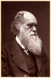 Charles Darwin: Englischer Naturforscher