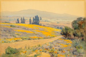 Frühlingslandschaft in Kalifornien von Elmer Wachtel