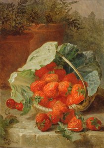 Erdbeeren in einem Kohlblatt, 1891