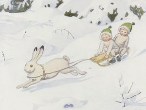 Der Schneehase