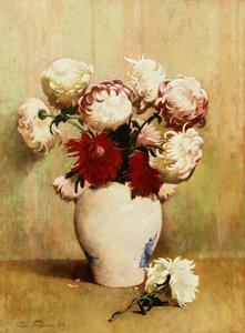 Chrysanthemen