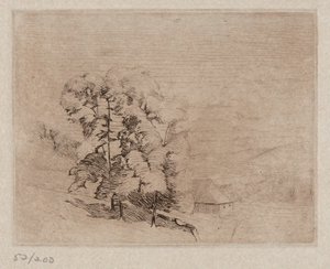 Landschaft von Connecticut