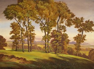 Landschaft mit Bäumen