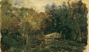 Naturstudie aus Goisern