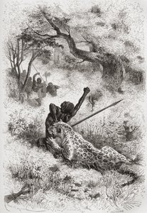 Ein Leopard greift einen Afrikaner an, Illustration aus 