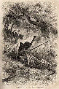 Ein Leopard springt auf einen Mann und beißt ihn grausam in den Rücken, in der Nähe von Bambare (Kongo), Gravur nach einer Zeichnung von Emile Bayard, die David Livingstones letztes Tagebuch (1813-1873) illustriert, in 1866-1873, veröffentlicht in "Le tour von Emile Antoine Bayard