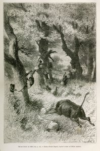 Niederlage der Expedition vor dem Angriff eines Büffels, Zeichnung von Emile Bayard, zur Illustration der Geschichte: Durch Afrika, von Sansibar (Tansania) nach Benguela (Angola), von 1872 bis 1876, von Leutnant V.H. Cameron. Gravur in Le tour du monde