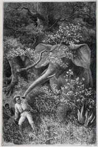 Livingstone überrascht von einem Elefanten, in „Le Tour du Monde“ von Emile Antoine Bayard