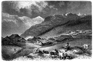 Dorf in den Alpen. Mürren, im Berner Oberland, Höhe 1630 Meter. Schäfer, der seine Herde von Ziegen und Schafen hütet. Illustration von Emile Bayard für Albert Dupaigne