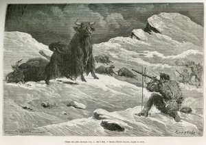 Wildyak-Jagdszene, Zeichnung von Emile Bayard zur Illustration der Reise nach Mongolei und dem Land der Tanguten von 1870 bis 1873, von Oberstleutnant Prjewalski. Gravur in Le tour du monde von Emile Antoine Bayard