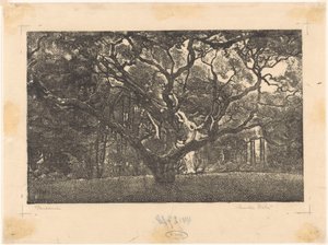 Wald in Bergen von Emilius Wilhelmus Dehé (signed by artist)