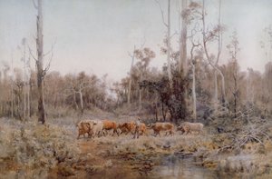 Das Ochsen-Team von Emma Minnie Boyd