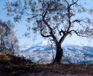 Das Gebiet um Menton, nahe Roquebrune, 1892