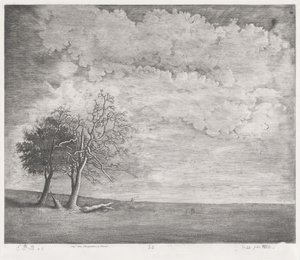 Eine Heide von Emmanuel Phélippes Beaulieu