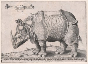 Nashorn