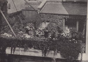 Ein Dachgarten von English Photographer