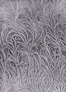 Eine Fensterscheibenstudie von Frostkristallen von English Photographer