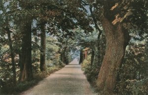 Addisons Walk von English Photographer