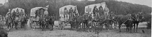 Ambulanzwagen verlassen das Pestkrankenhaus in Kapstadt, Illustration aus The King, 25. Mai 1901 von English Photographer