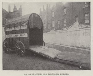 Ein Krankenwagen für behinderte Pferde von English Photographer