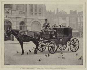 Ein tierliebender Kutscher, Eine Szene, die kürzlich in Kingston-on-Thames fotografiert wurde von English Photographer
