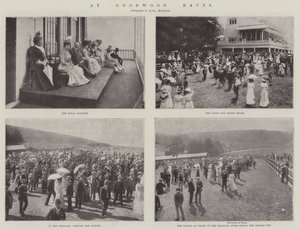Bei den Goodwood-Rennen