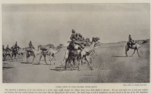 Kamelkorps in Wadi Halfa, Oberägypten von English Photographer