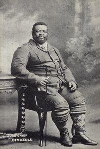 Cetshwayo kaMpande, König der Zulu-Nation von English Photographer