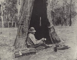 Pechvogel von English Photographer