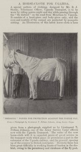 Ponys zum Schutz gegen die Tsetsefliege vorbereiten von English Photographer