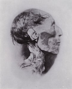 Ägypten: Kopf von Ramses II von English Photographer