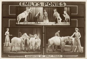 Emily Paulo und ihre dressierten Ponys von English Photographer
